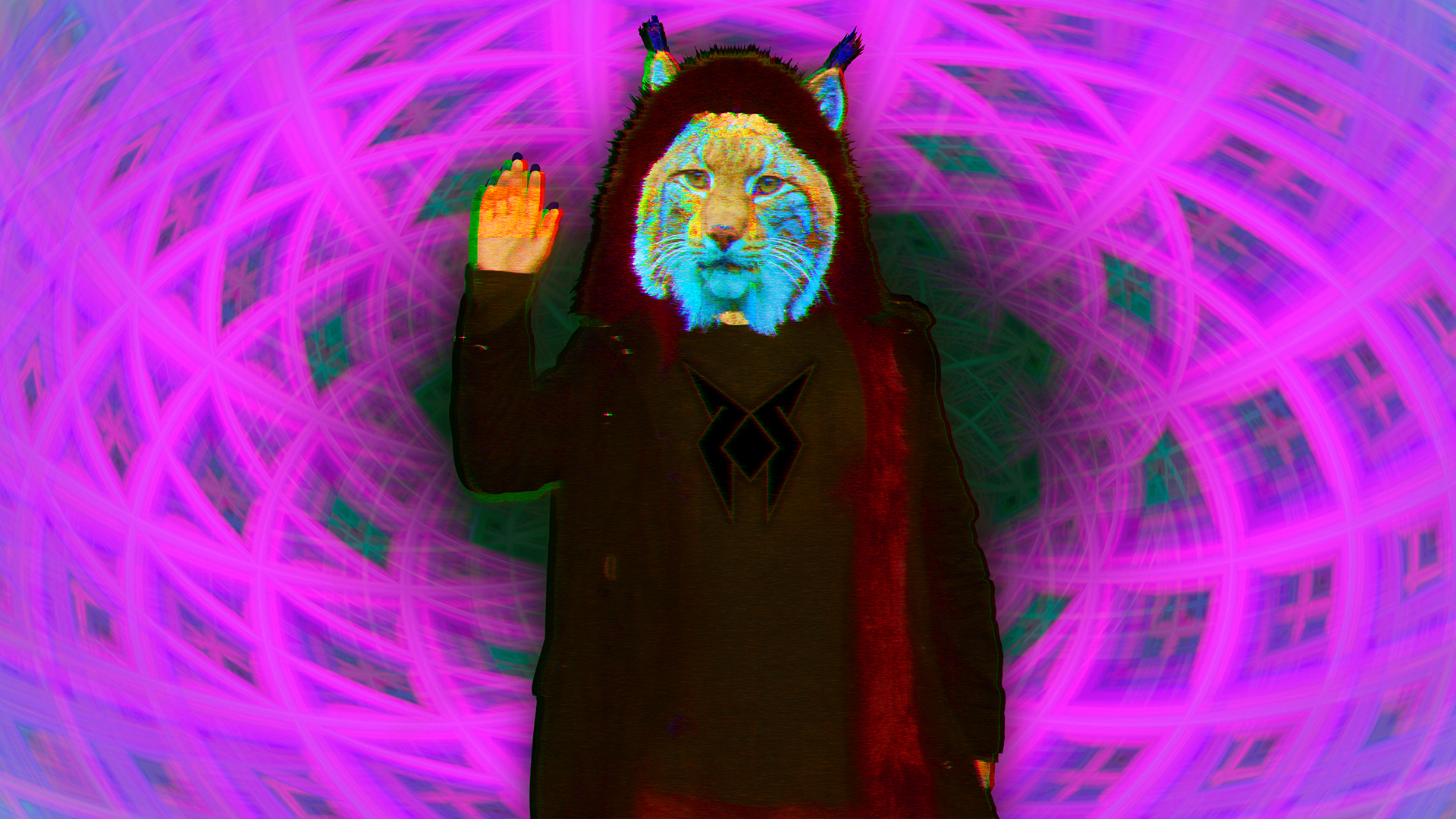 Lynx_lince