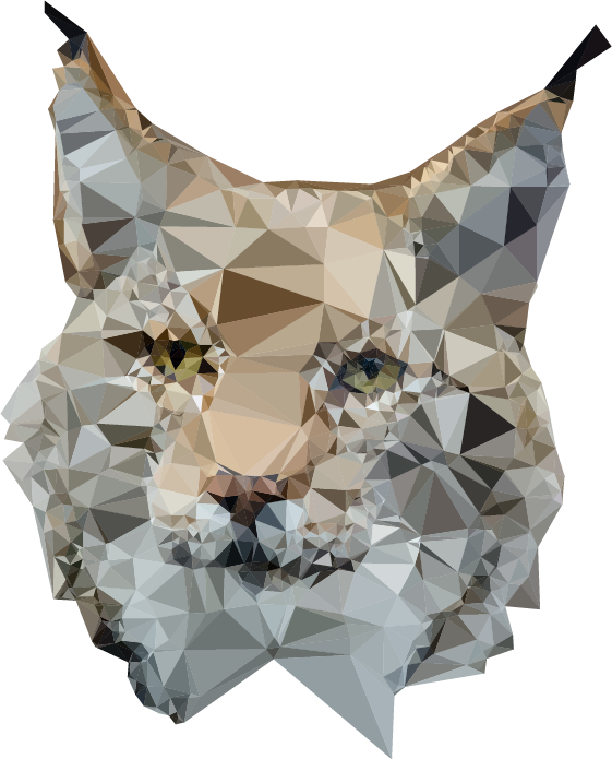 Lynx_Poly_Vector